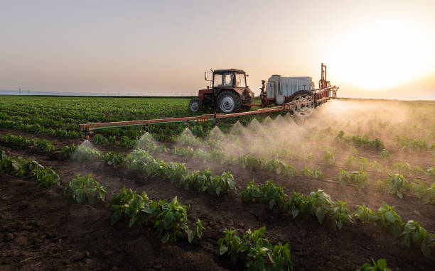 Professional Pest Control in Amelia, OH