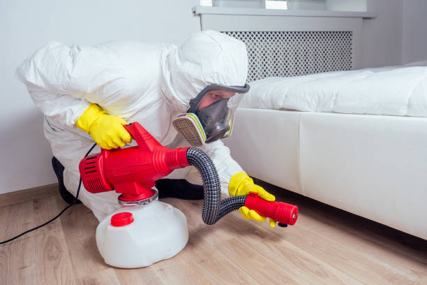 Best Termite Control Services  in Amelia, OH