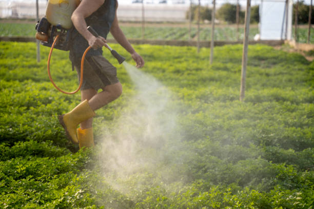 Best Best Pest Control Companies  in Amelia, OH