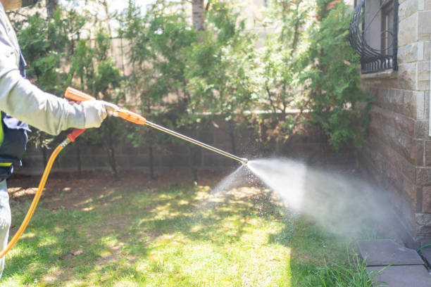 Best Pest Removal Services  in Amelia, OH