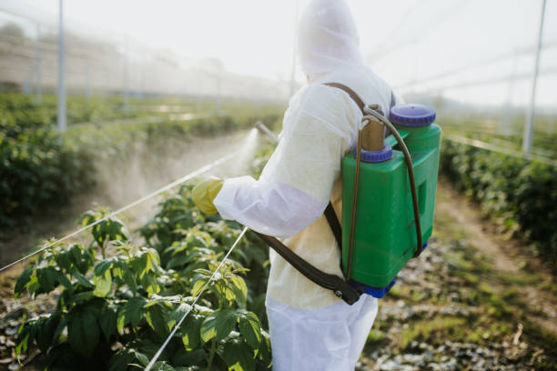 Insect Control in Amelia, OH